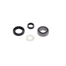 Bearing and Seal Kit for...